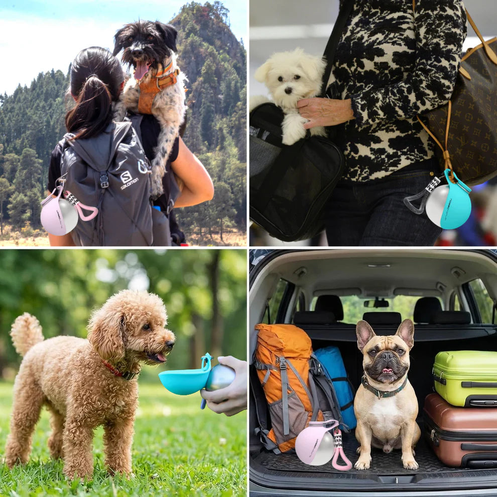 Portable Pet Water Bottle with Foldable Bowl