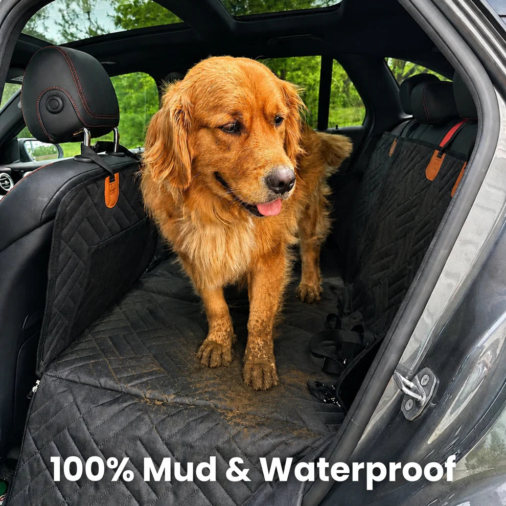 Hard-Bottom™ Car Seat Cover for Dogs