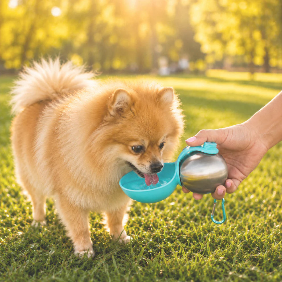 Portable Pet Water Bottle with Foldable Bowl